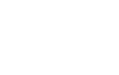 SSI Strategy